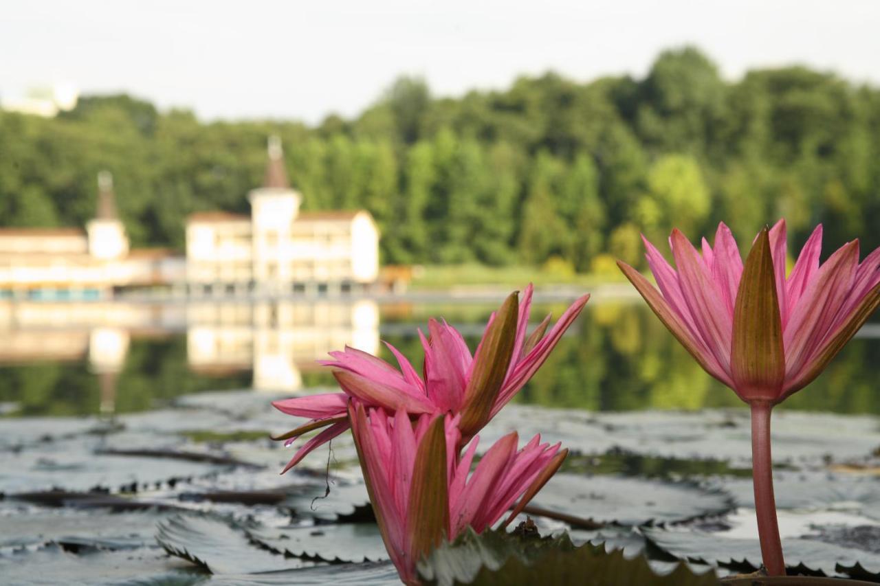 Piroska Villa Heviz Bagian luar foto