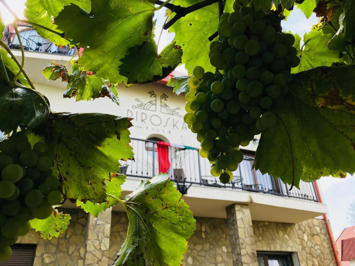 Piroska Villa Heviz Bagian luar foto