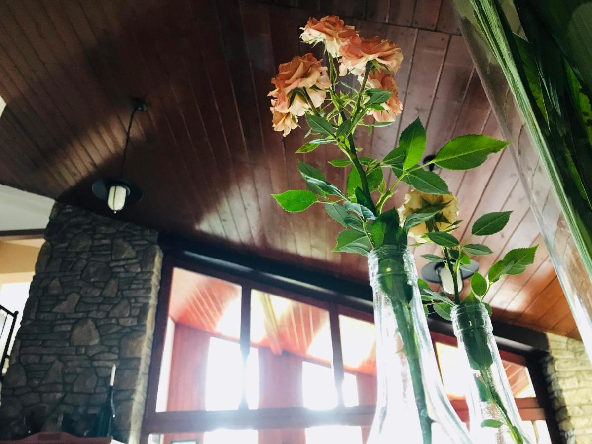 Piroska Villa Heviz Bagian luar foto