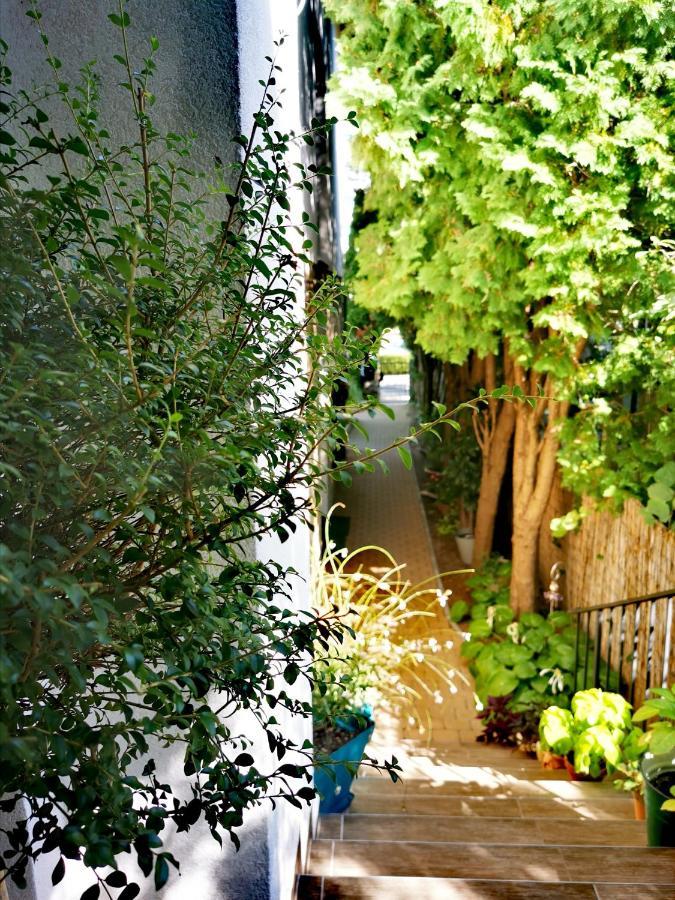 Piroska Villa Heviz Bagian luar foto